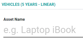 Assets model button in LeanSoft Accounting
