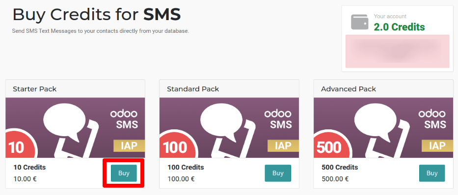 The SMS service page on IAP.LeanSoft.com with four packs of credits available for purchase.