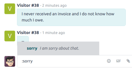 View of a chat window and the use of a canned response in LeanSoft Live Chat.