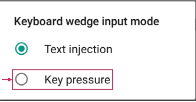 Lựa chọn chế độ nhập Keyboard wedge trên máy quét Datalogic.