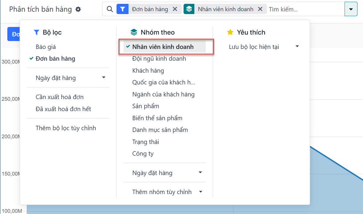 Nhóm các bản ghi trên báo cáo Phân tích Bán hàng
