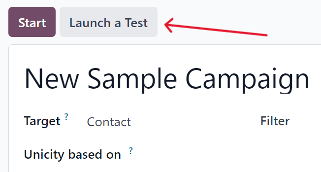 Launch a test button on a campaign detail form in LeanSoft Marketing Automation.