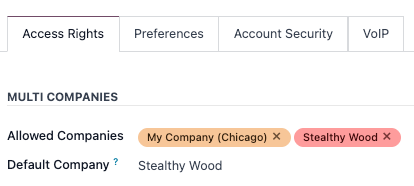 View of a user's form emphasizing the multi companies field in LeanSoft.