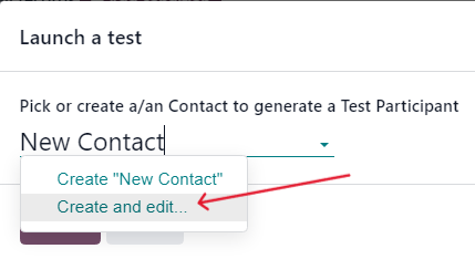 Typing in a new contact directly from the launch a test pop-up window in LeanSoft.