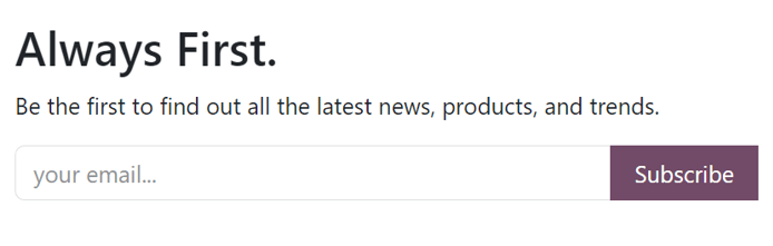 Sample of how a newsletter block appears on an LeanSoft Website.