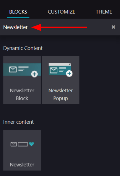 View of how to quickly search for Newsletter blocks in the LeanSoft Website application.