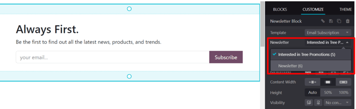 The newsletter drop-down menu in the customize sidebar that appears in LeanSoft Website.