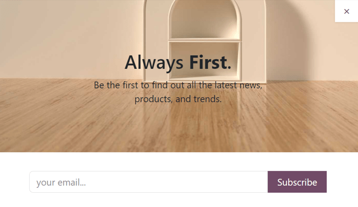 Sample of how a newsletter popup block appears on an LeanSoft Website.