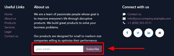 Sample of how a newsletter block appears on an LeanSoft Website.