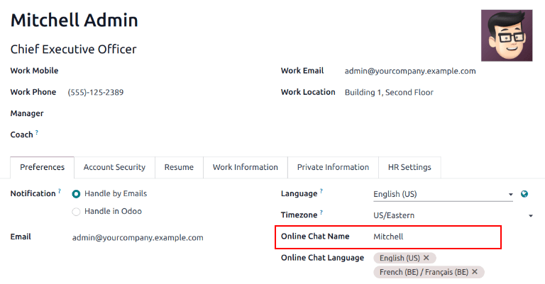 View of user profile in LeanSoft, emphasizing the Online Chat name field.