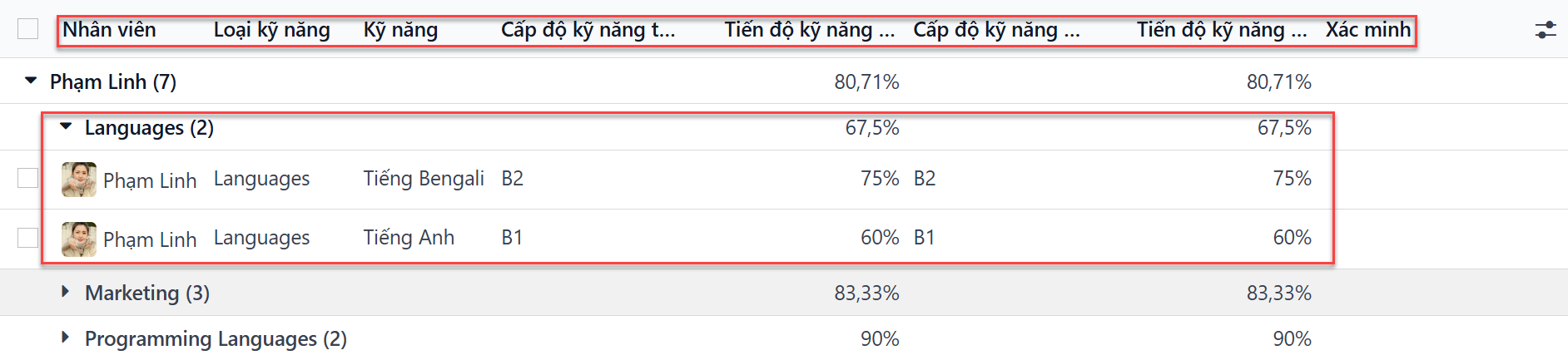 Một báo cáo hiển thị tất cả các kỹ năng được nhóm theo nhân viên.