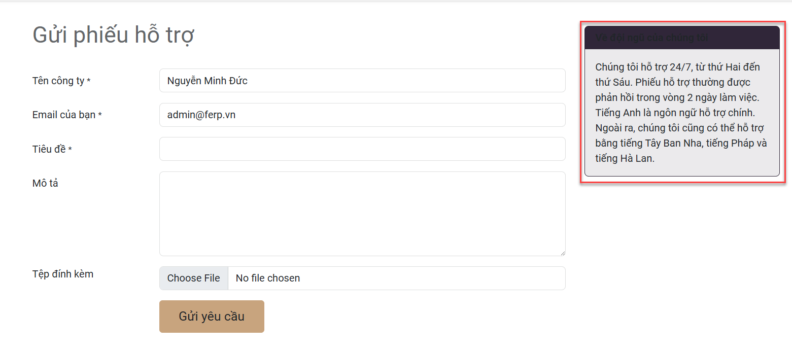 Giao diện biểu mẫu trang web của một đội ngũ Hỗ trợ hiển thị mô tả đội ngũ.