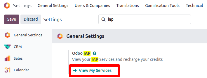 The Settings app showing the LeanSoft IAP heading and View My Services button.