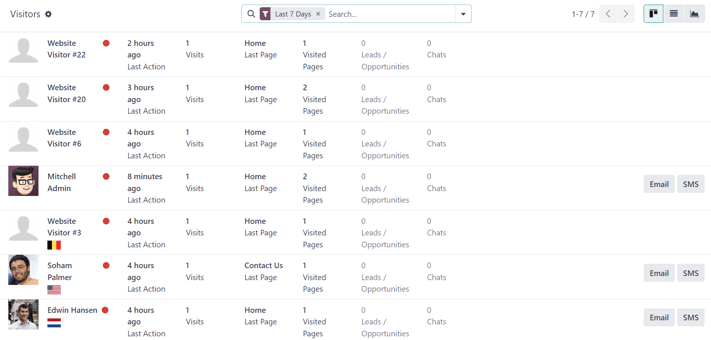 View of the Visitors page in the LeanSoft Social Marketing application.